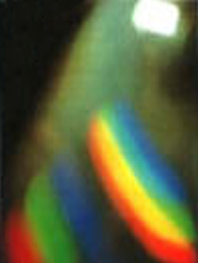 Maurizio Bianchi